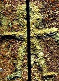 wpe2.jpg (21198 byte)